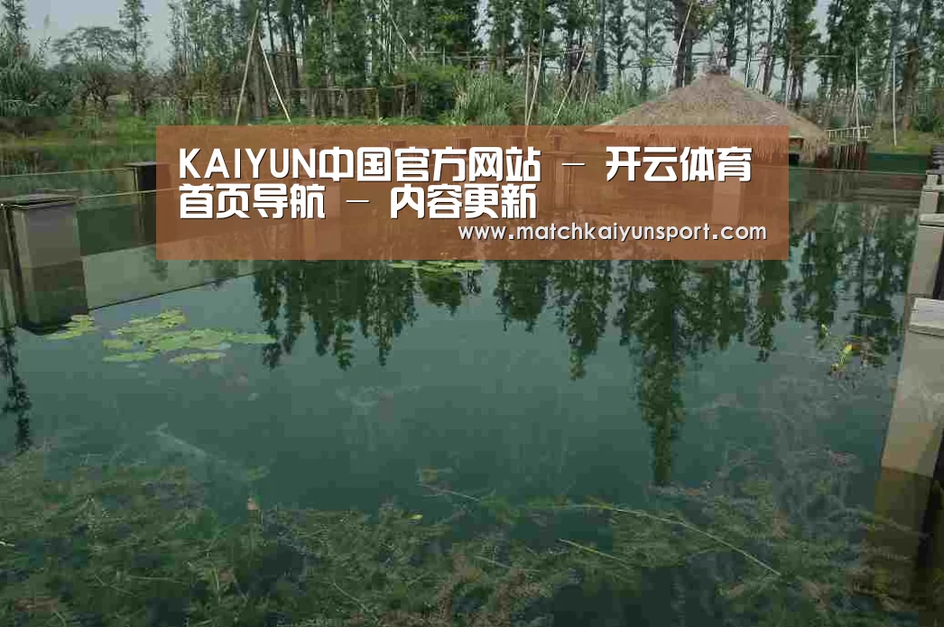 案例展示二(图1)