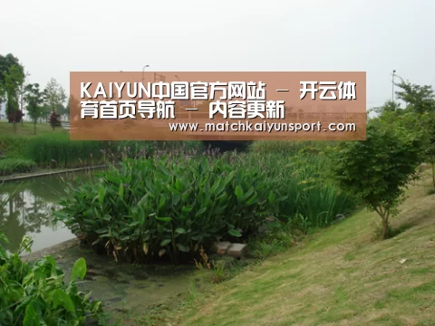 案例展示四(图1)