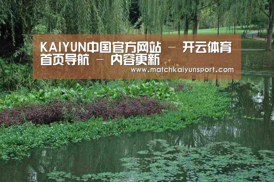 案例展示一(图1)