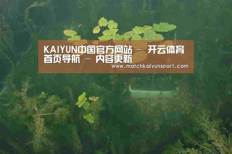 案例展示三(图1)