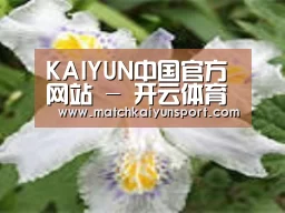 产品名称二