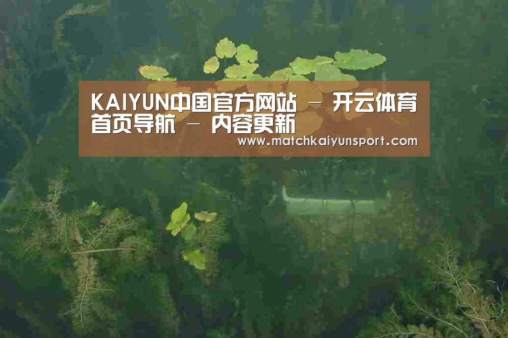 案例展示三