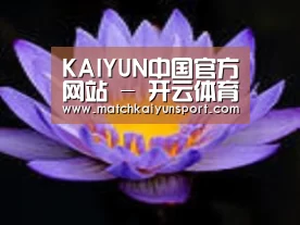 产品名称六