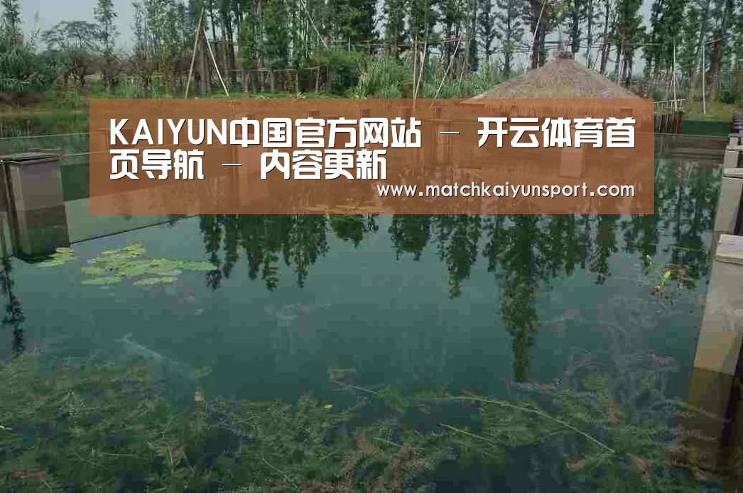 案例展示二
