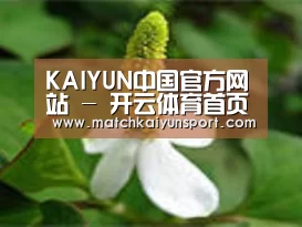 产品名称三