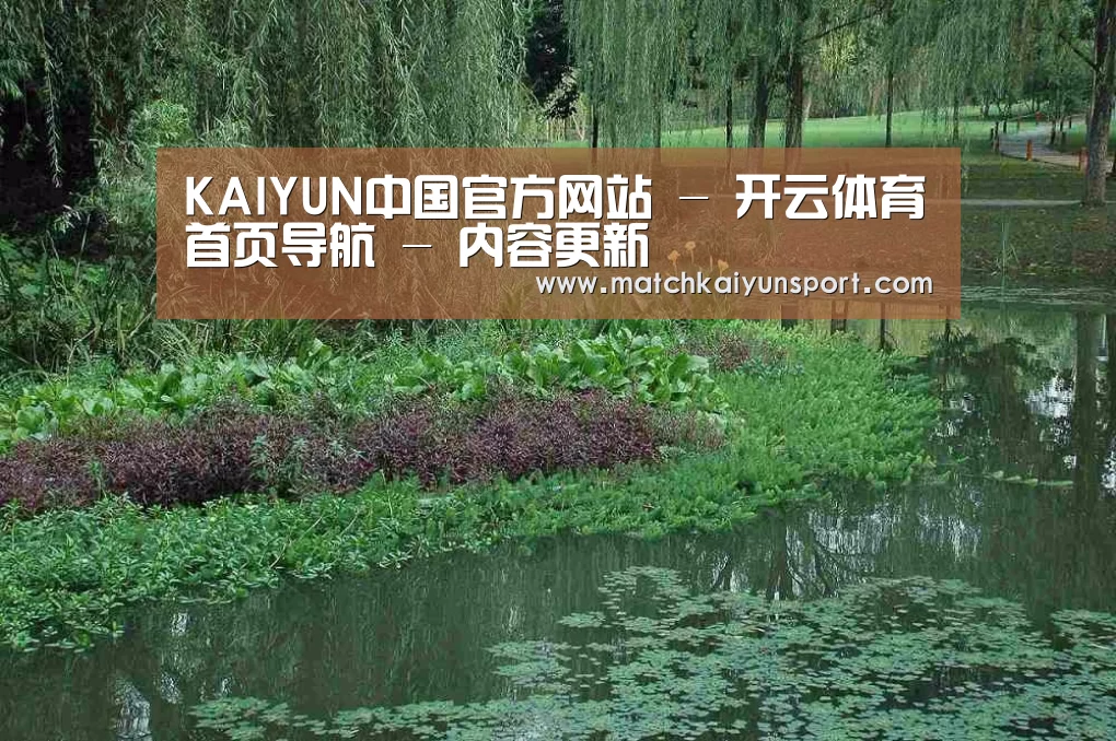 案例展示一