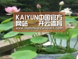 产品名称一