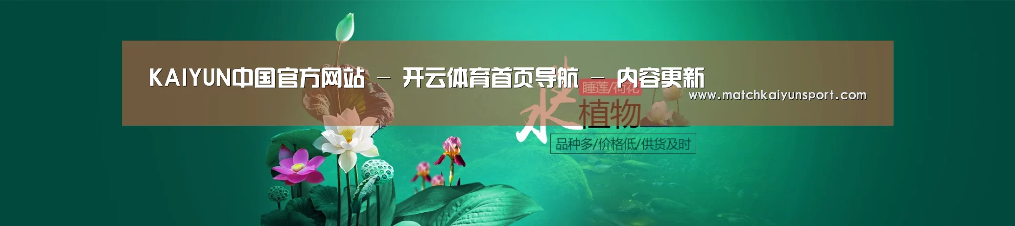 鲜花水草花卉网站模板