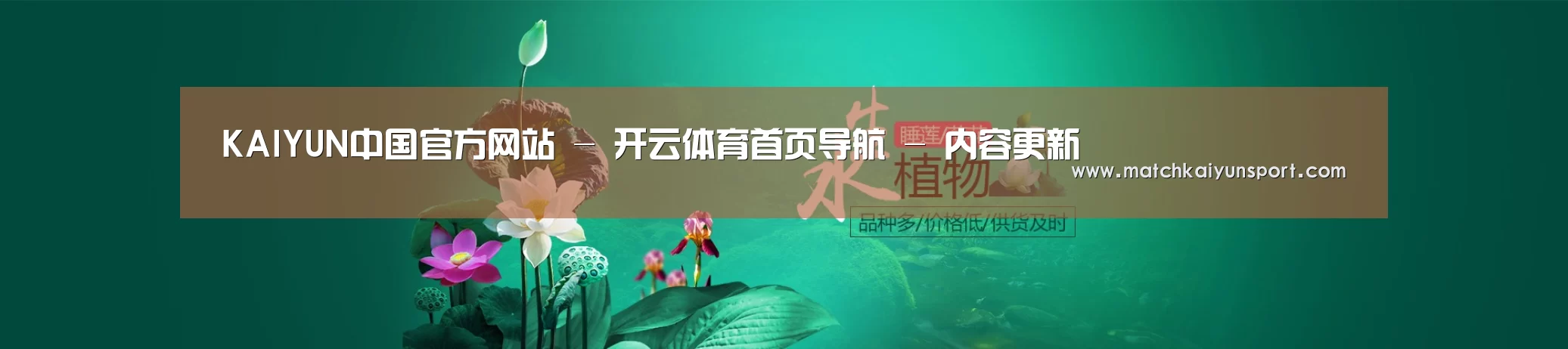 鲜花水草花卉网站模板