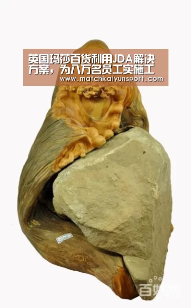 开云体育官网