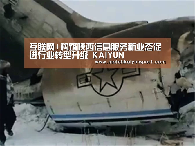 互联网+构筑陕西信息服务新业态促进行业转型升级_KAIYUN(图3)