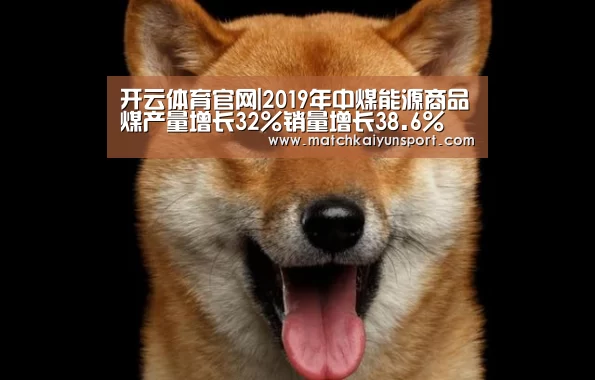 开云体育官网|2019年中煤能源商品煤产量增长32%销量增长38.6%(图1) 开云官网导航