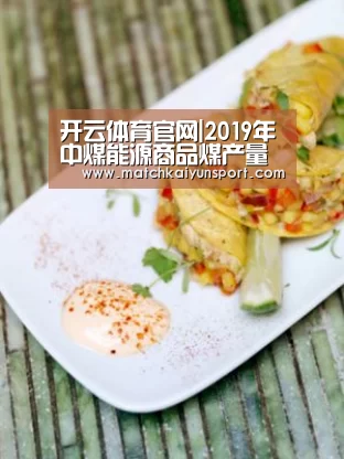 开云体育官网|2019年中煤能源商品煤产量增长32%销量增长38.6%(图3) 开云体育官网|2019年中煤能源商品煤产量增长32%销量增长38.6%(图3)