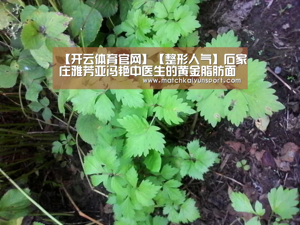 【开云体育官网】【整形人气】石家庄雅芳亚冯艳中医生的黄金脂肪面雕技术(图4) 【开云体育官网】【整形人气】石家庄雅芳亚冯艳中医生的黄金脂肪面雕技术(图4)
