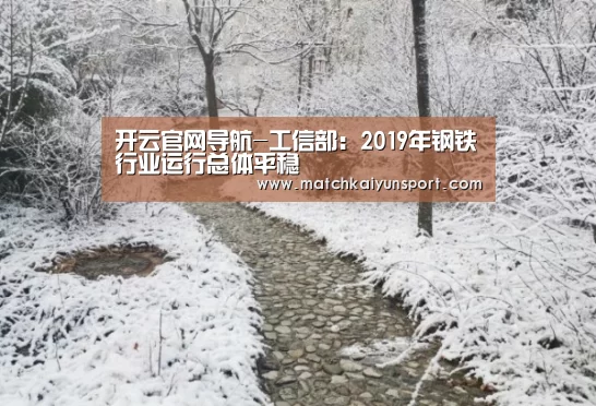 开云官网导航-工信部:2019年钢铁行业运行总体平稳(图4) 开云官网