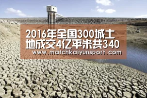 开云体育官网