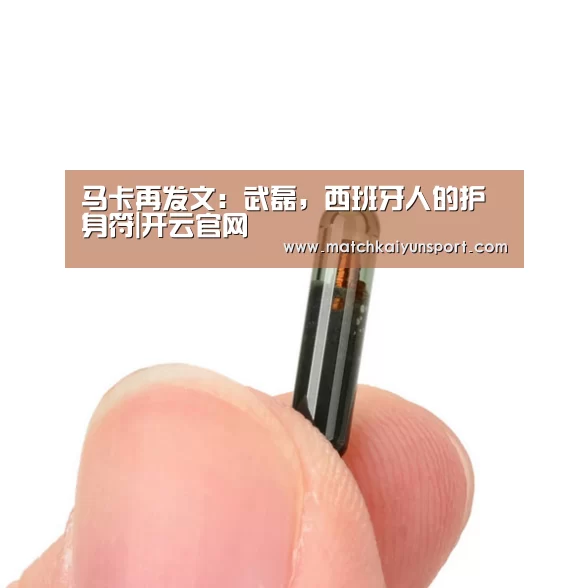 开云官网导航