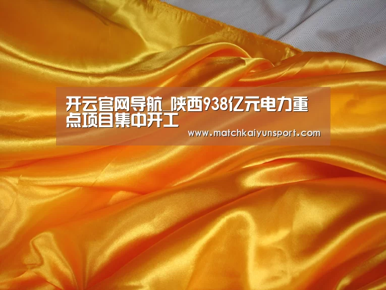 开云官网导航_陕西938亿元电力重点项目集中开工(图1)