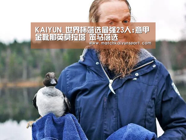 开云官网导航